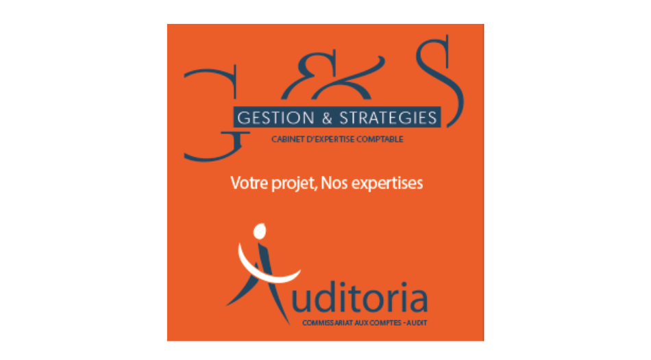 auditoria logo page VSS