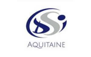 DSI aquitaine