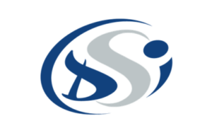 Logo DSI